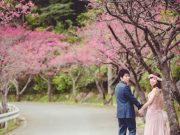 【冬の沖縄イチオシ！】桜のフォトウェディング体験