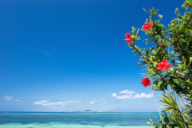 ハネムーンなら沖縄を選んで！100点満点のリゾートウェディングを叶える秘訣って？
