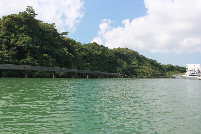 カヤックからの風景