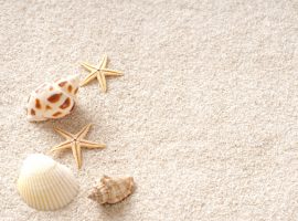 沖縄・リゾートウェディングならスターフィッシュのモチーフが可愛い＊