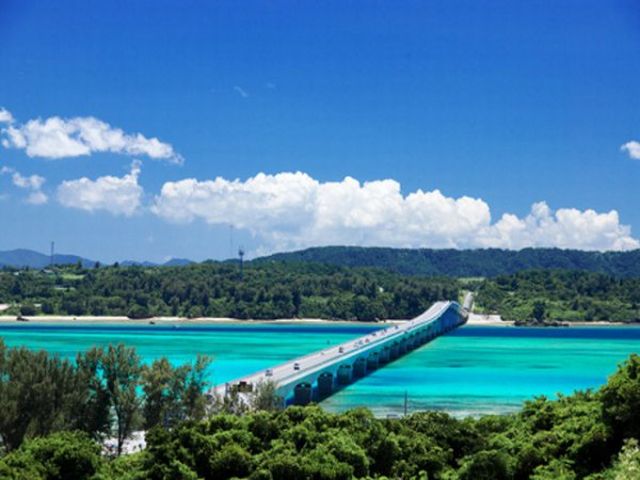 観光バスツアー：みーぐる沖縄オプショナルツアー