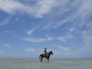 沖縄で楽しく乗馬体験！おすすめスポットをご紹介♪（口コミ多数）