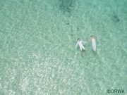 ドローン×離島でドラマチックなフォトを沖縄で撮ろう