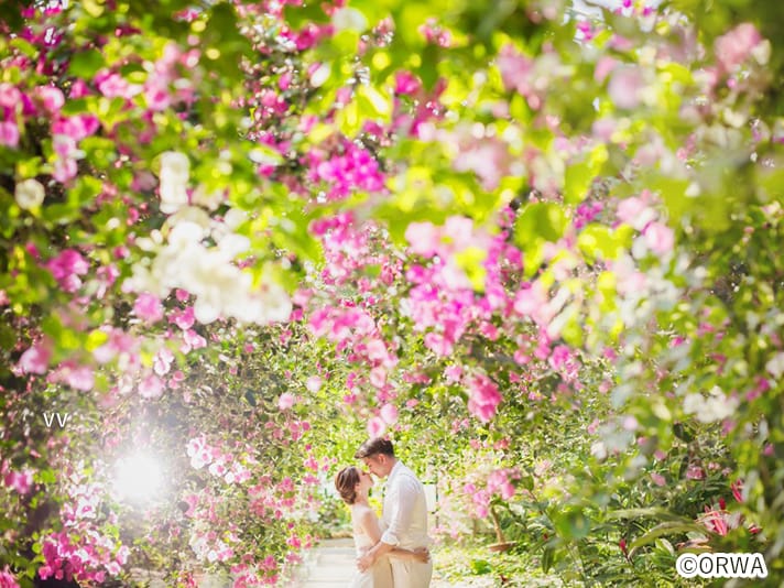 ブーゲンビリアの花言葉は 沖縄ウェディング向けブーケアイデア4選 Ainowa沖縄リゾートウェディング ブーゲンビリアの花言葉は 沖縄ウェディング向けブーケアイデア4選 Ainowa沖縄リゾートウェディング