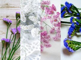 沖縄ウェディングのブーケにスターチスはどう使う？花言葉も解説