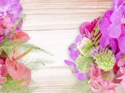蘭の花言葉は美しいものが多い｜沖縄向きリゾートブーケアイデア4つ
