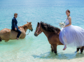 馬に乗りたい！沖縄で乗馬フォトウェディングができるプランは？