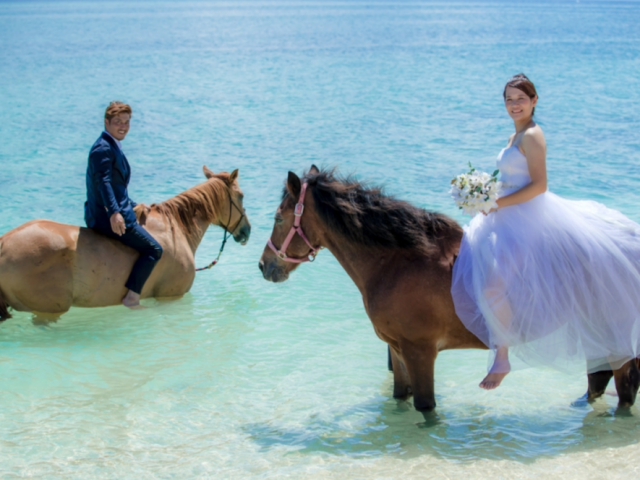馬に乗りたい！沖縄で乗馬フォトウェディングができるプランは？