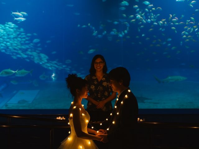 保護中: 美ら海水族館をふたりで貸切に。 ジンベエザメが泳ぐ大水槽の前で交わす、“これからも一緒にいたい”という誓いの時間