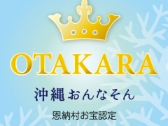 【12月～2月限定：29,800円 税別】 【お二人だけの撮影なら】「おんなそんビーチフォトスペシャル」【衣装フリーチョイス】【土日祝も同代金】【12月まで価格据置】<